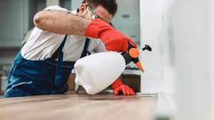 Best Real Estate Pest Inspections  in Whitewater, KS